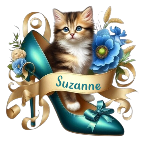 suzanne_dem_ok