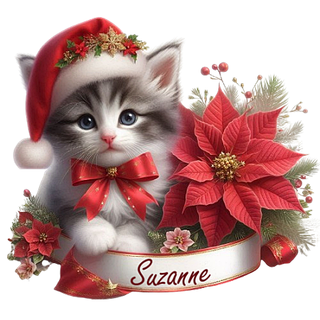 suzannec6